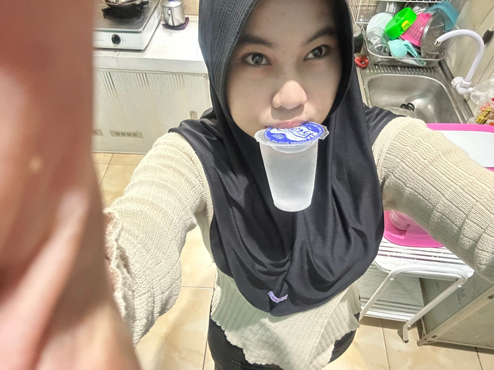 Gambar 1